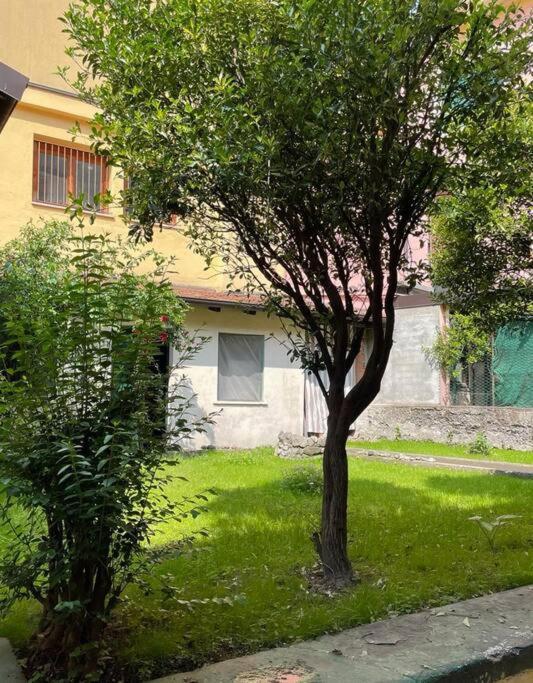 Il Giardino Nascosto Apartment Omegna Exterior foto